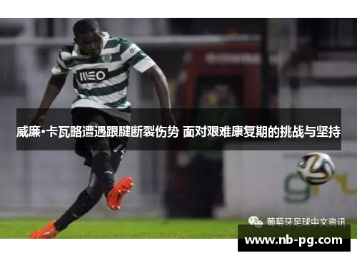 威廉·卡瓦略遭遇跟腱断裂伤势 面对艰难康复期的挑战与坚持
